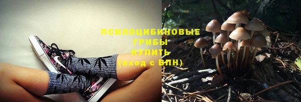 скорость Алексеевка