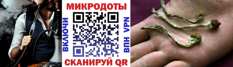 купить наркотики цена  Россошь  Псилоцибиновые грибы мухоморы 